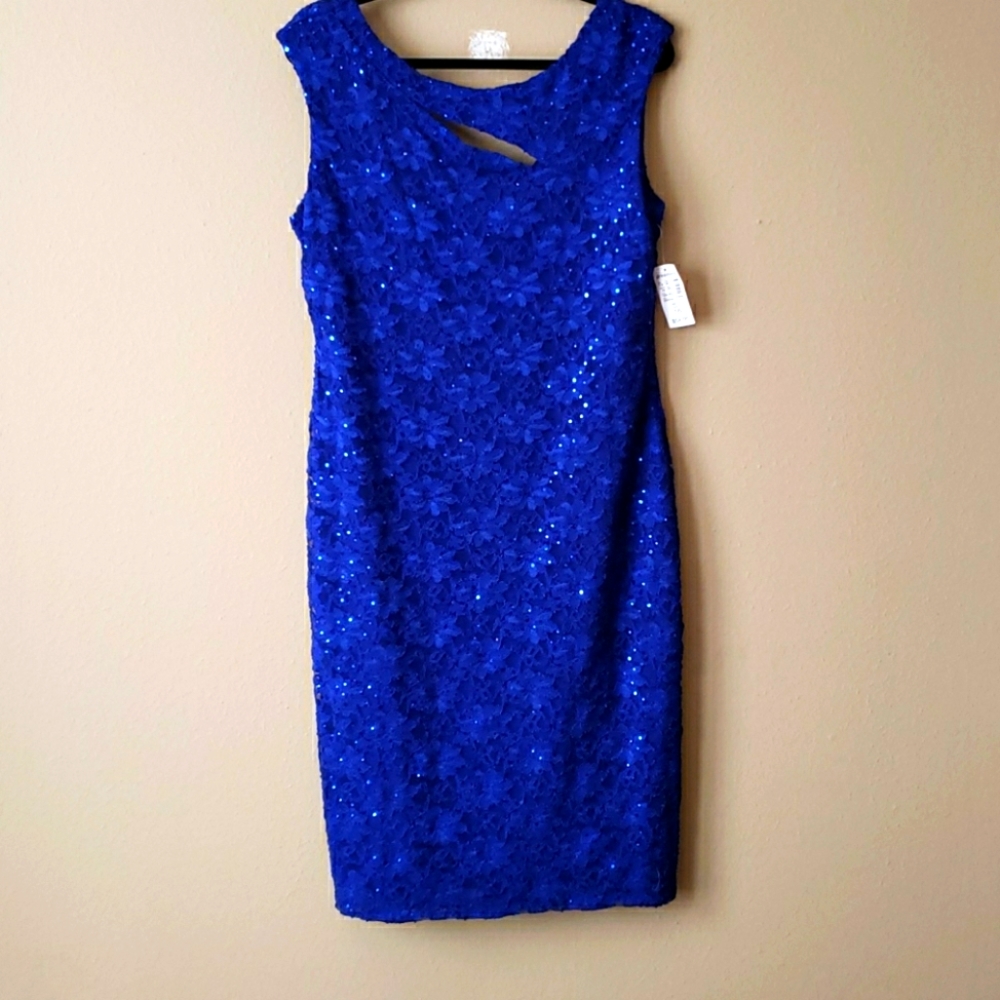 Roz & Ali size: 16 dress